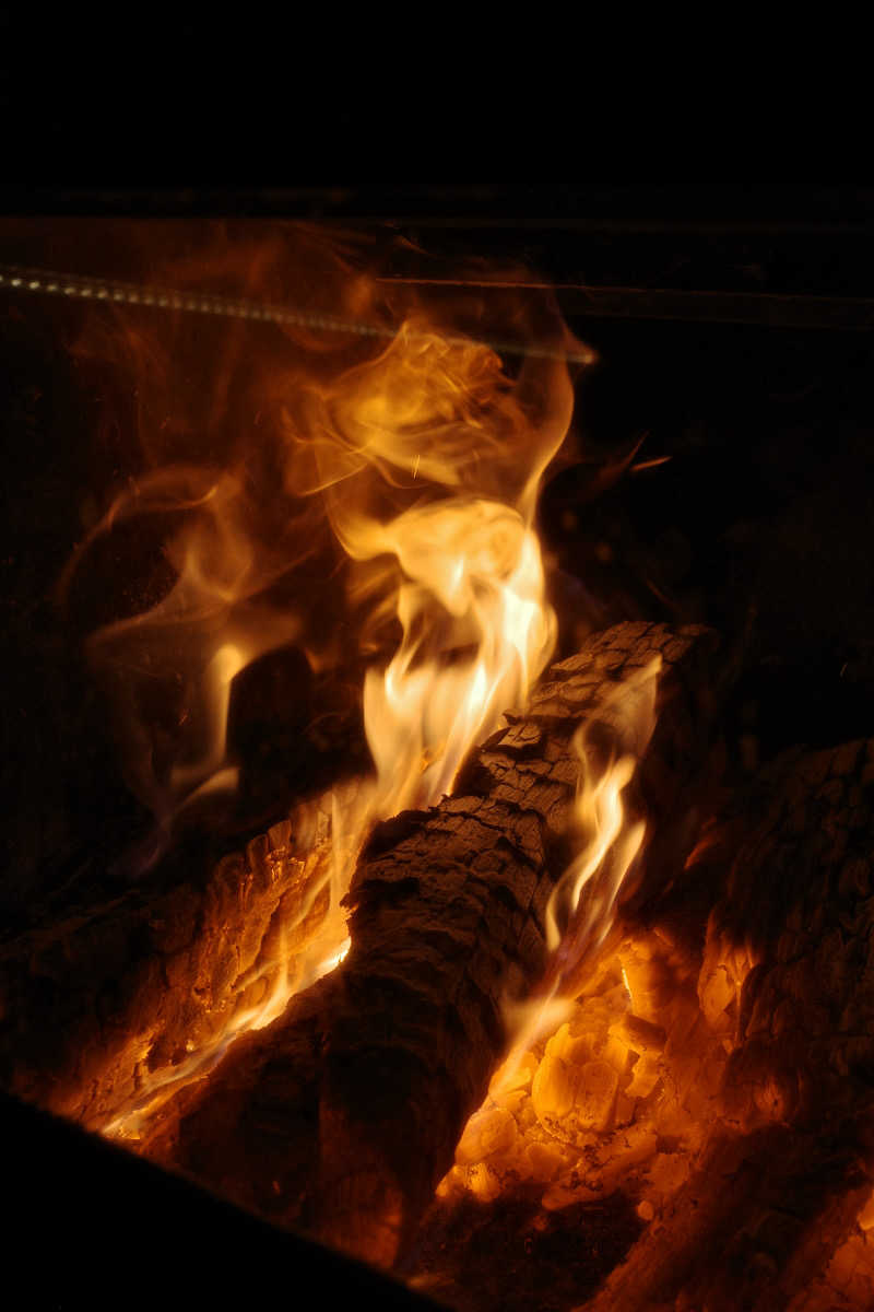 てぃーが🐯さんのサウナランド浅草 - SAUNALAND ASAKUSA -のサ活写真