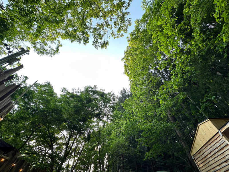たぬきちさんの梅の屋リゾート 松川館のサ活写真