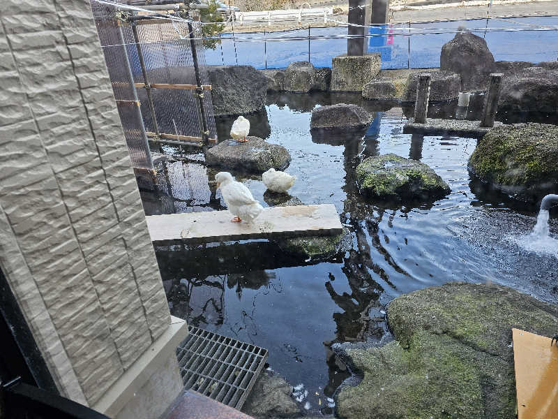 カ2トシ🎧さんのゆの駅ゆざわの湯のサ活写真