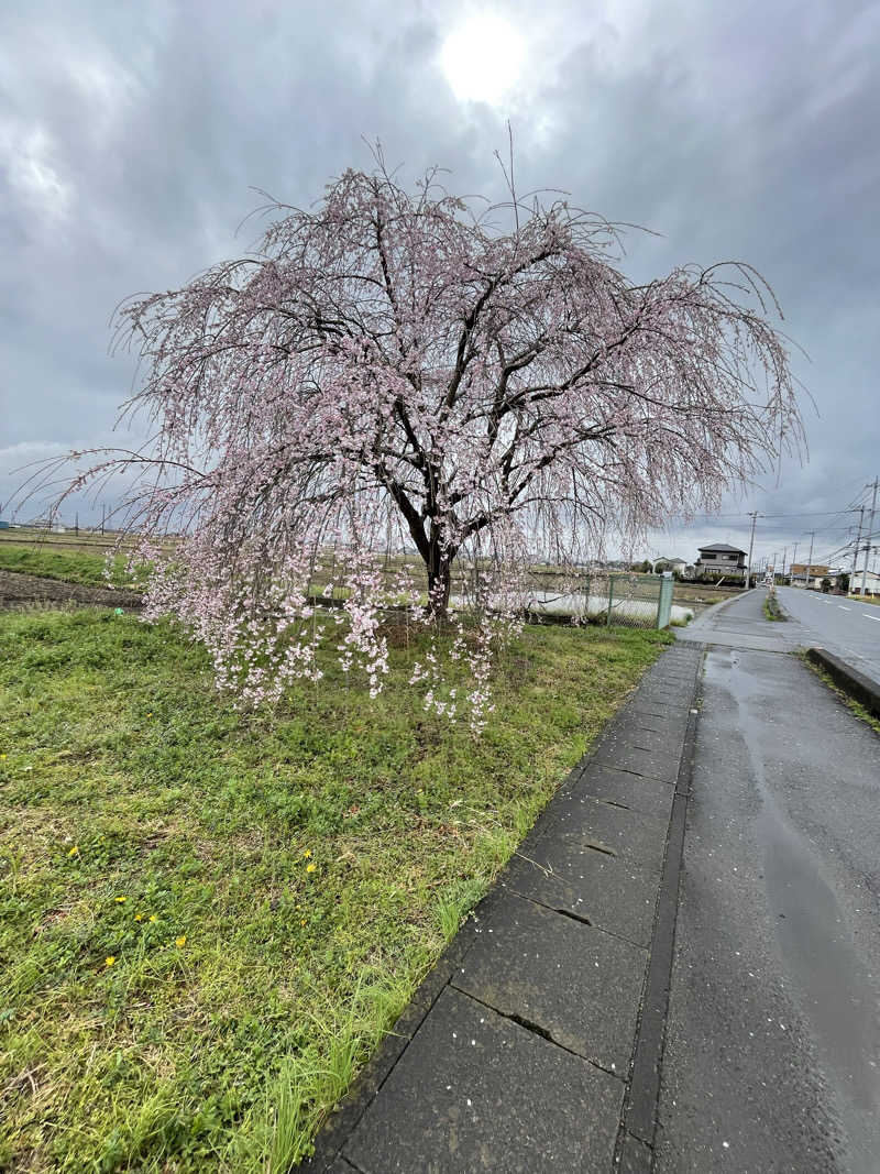 モモさんの小江戸温泉 KASHIBAのサ活写真