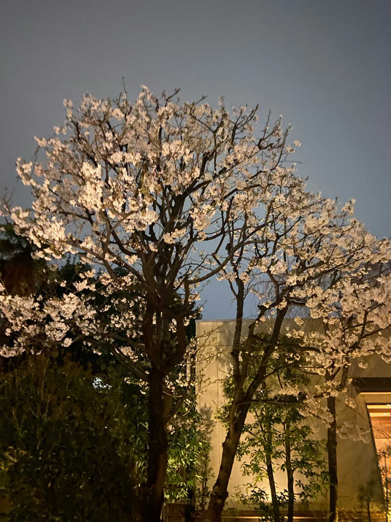 もふさんの東京染井温泉 SAKURAのサ活写真