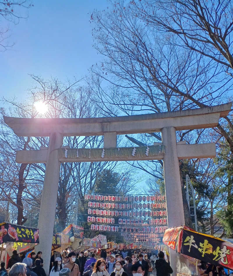 ataruさんの府中湯楽館 桜湯のサ活写真