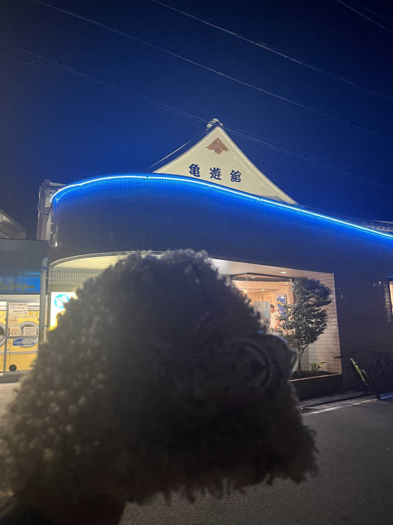 やまさんの亀遊舘のサ活写真