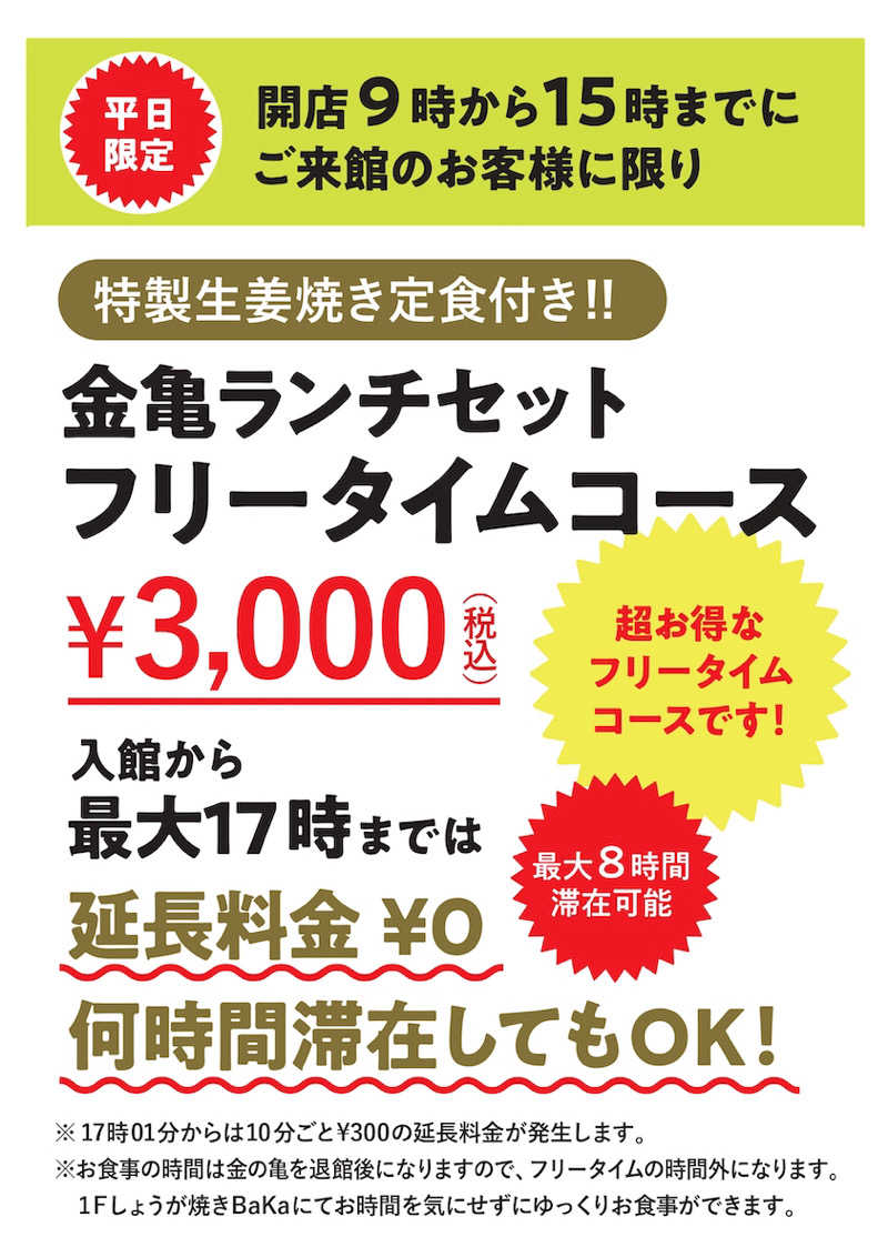 れいなさんの生姜サウナ「金の亀」のサ活写真