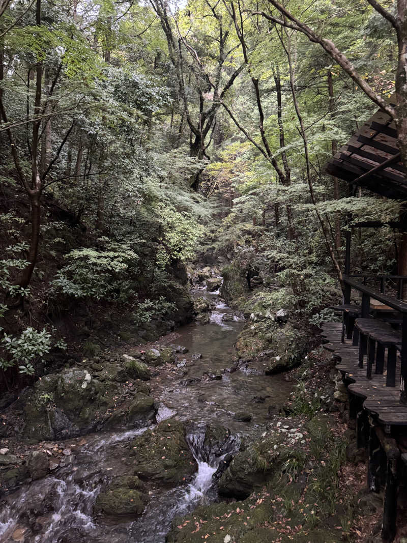 れいなさんの深澤渓 自然人村のサ活写真