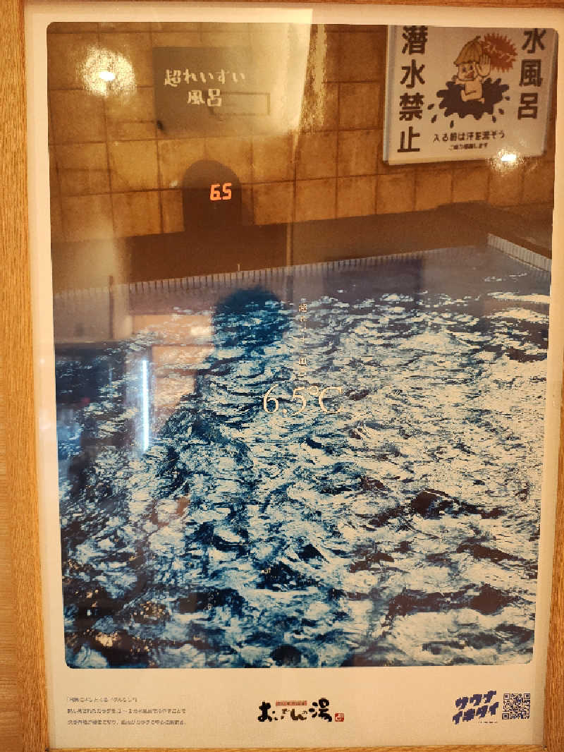 ソチートさんの豊田挙母温泉 おいでんの湯のサ活写真