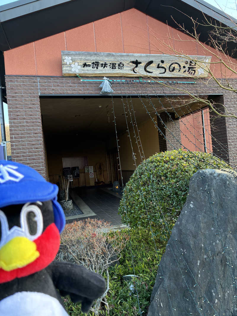 温泉の豚さんの加護坊温泉 さくらの湯のサ活写真