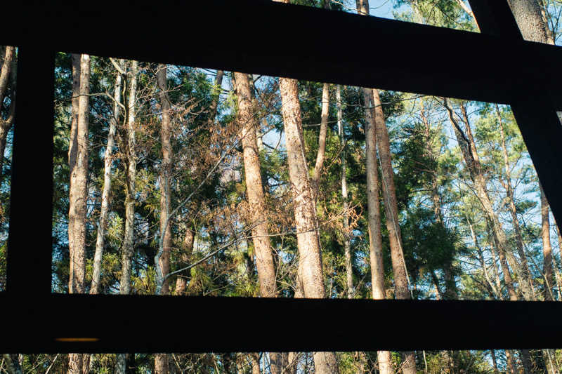 あまみくんさんのFujiSaunaのサ活写真