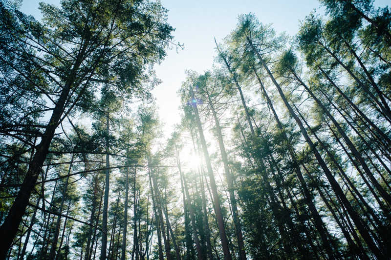 あまみくんさんのFujiSaunaのサ活写真