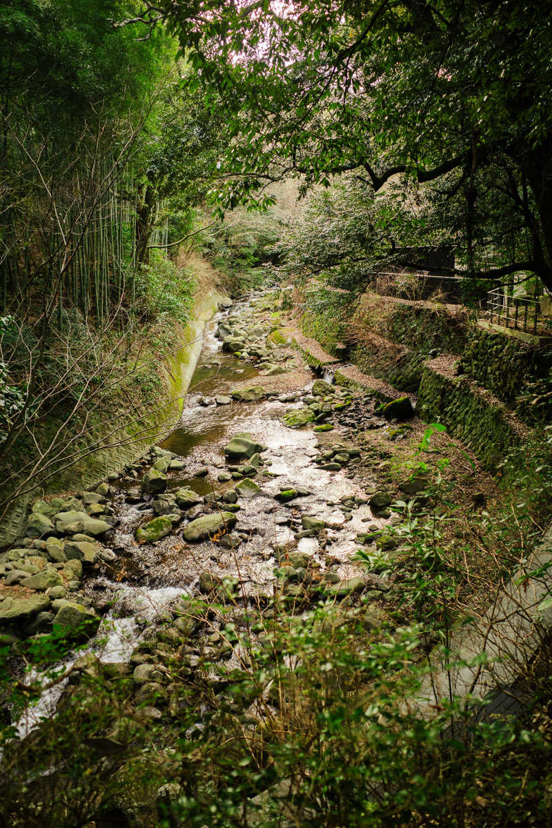 あまみくんさんの巛-sen-湯河原のサ活写真