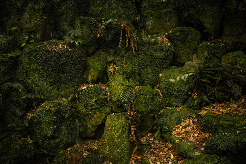 あまみくんさんの巛-sen-湯河原のサ活写真