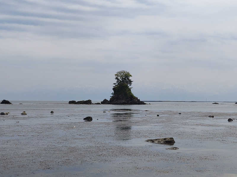 𝕞𝕚𝕙𝕠さんの越乃庭のサ活写真