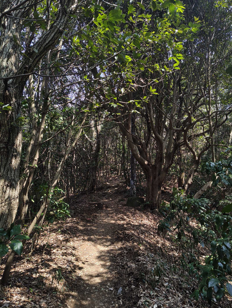 𝕞𝕚𝕙𝕠さんの宝来湯のサ活写真