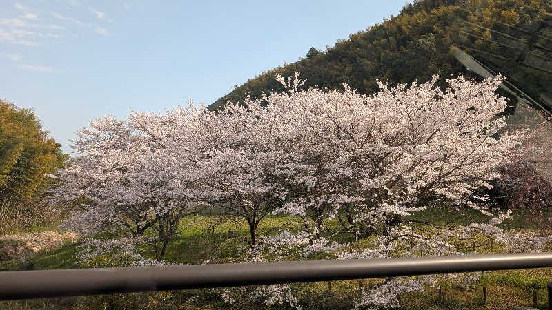 Mignonさんの三瀬温泉 やまびこの湯のサ活写真