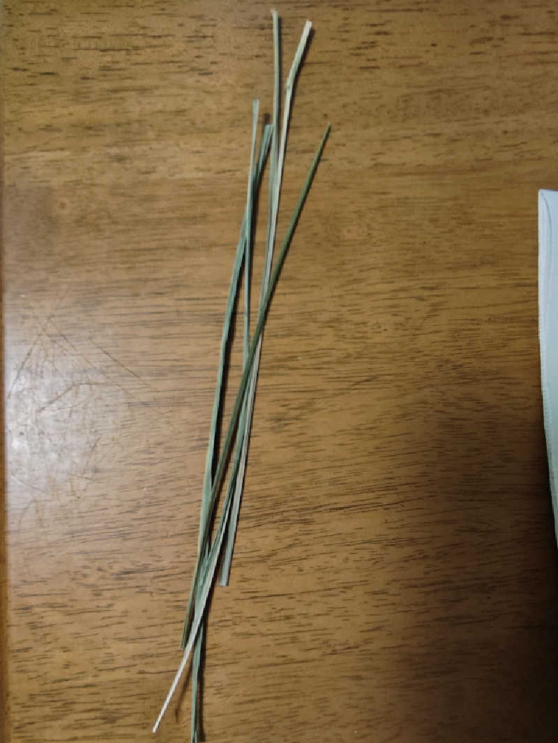 Nanaさんのウェルビー栄のサ活写真