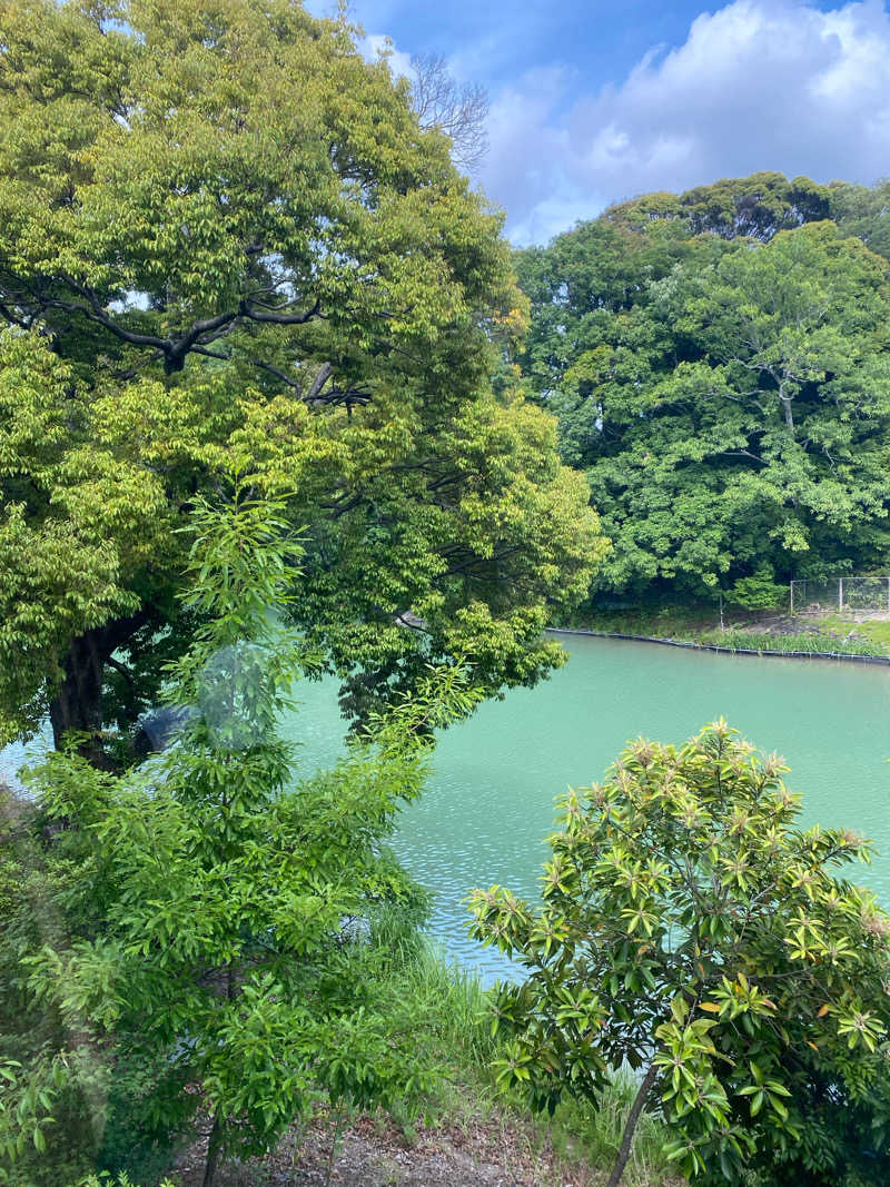 ヒ〜ぃさんの宗像王丸・天然温泉 やまつばさのサ活写真