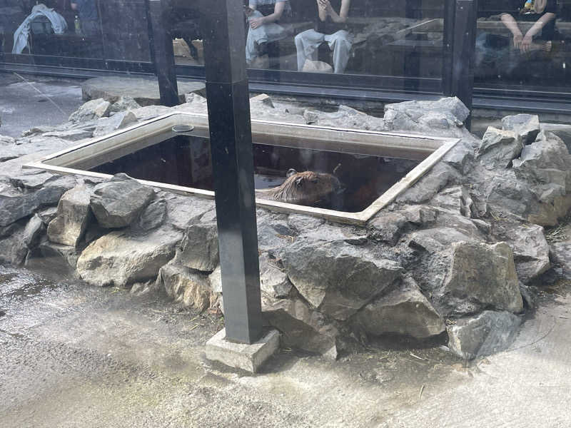 もみのきさんの石狩天然温泉 番屋の湯のサ活写真