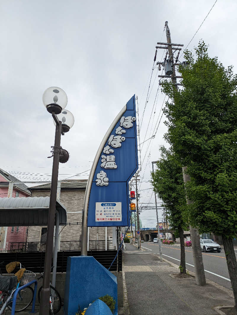 みるこさんのぽかぽか温泉 新守山乃湯のサ活写真