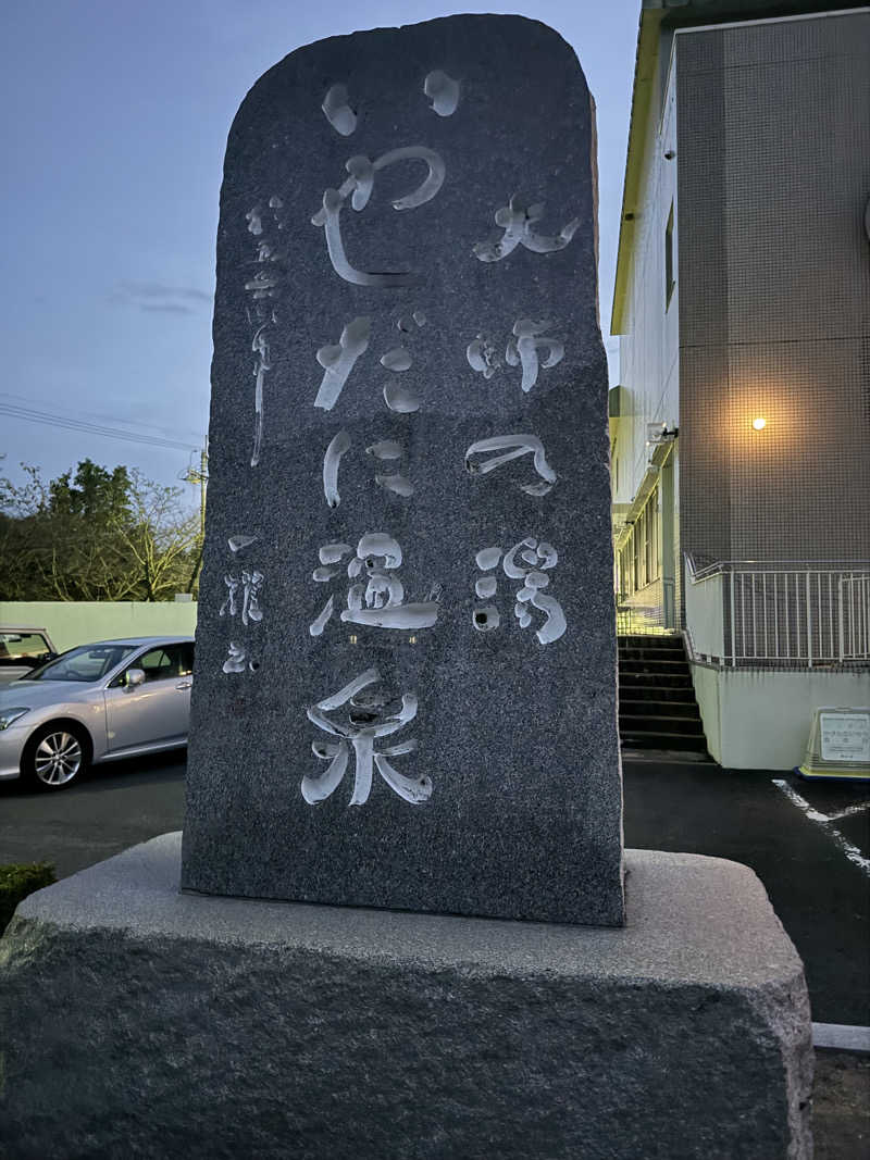 ３３さんのいやだに温泉大師の湯のサ活写真