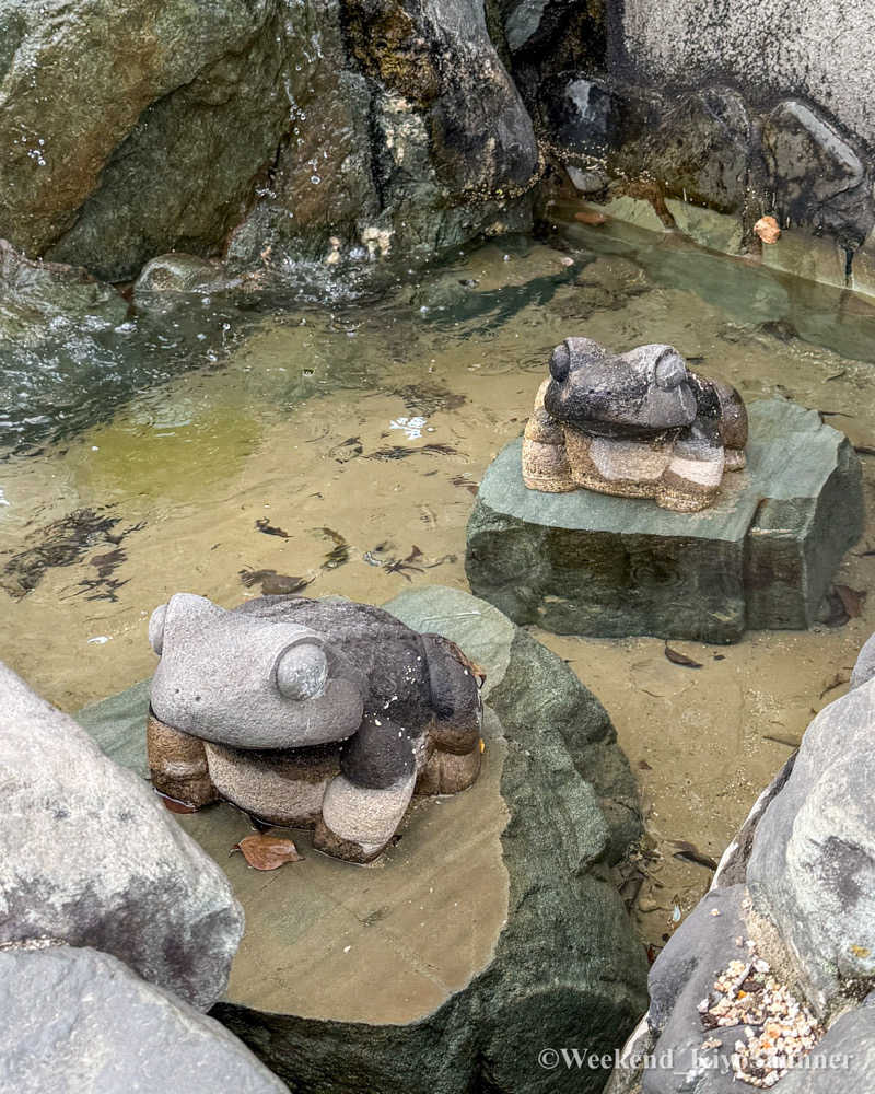 週末KiyoSaunnerさんのみどり楽の湯のサ活写真