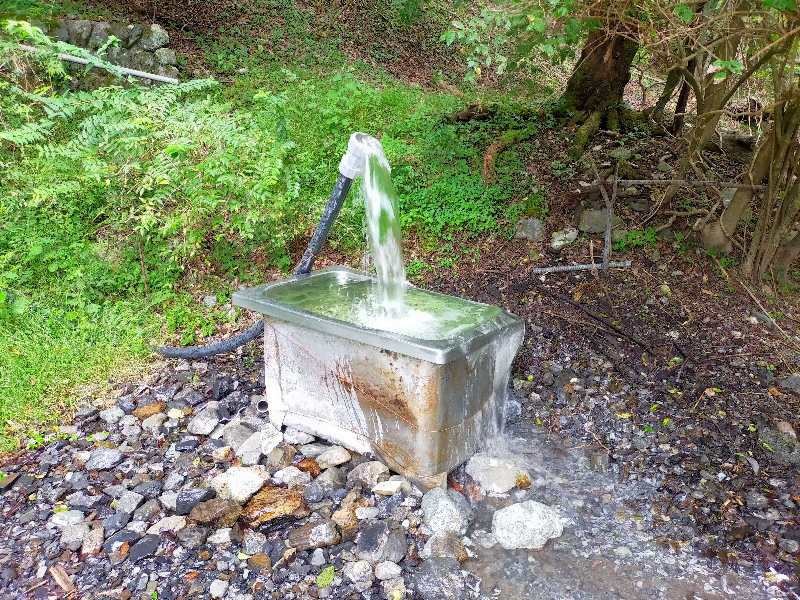 蒸旅人さんのもりのいずみ (時之栖 もりのくに)のサ活写真