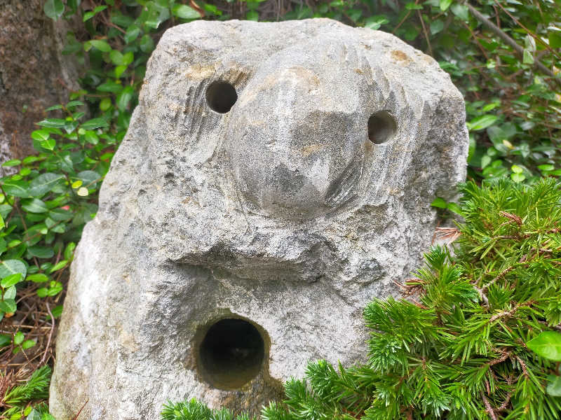 蒸旅人さんの神戸サウナ&スパのサ活写真