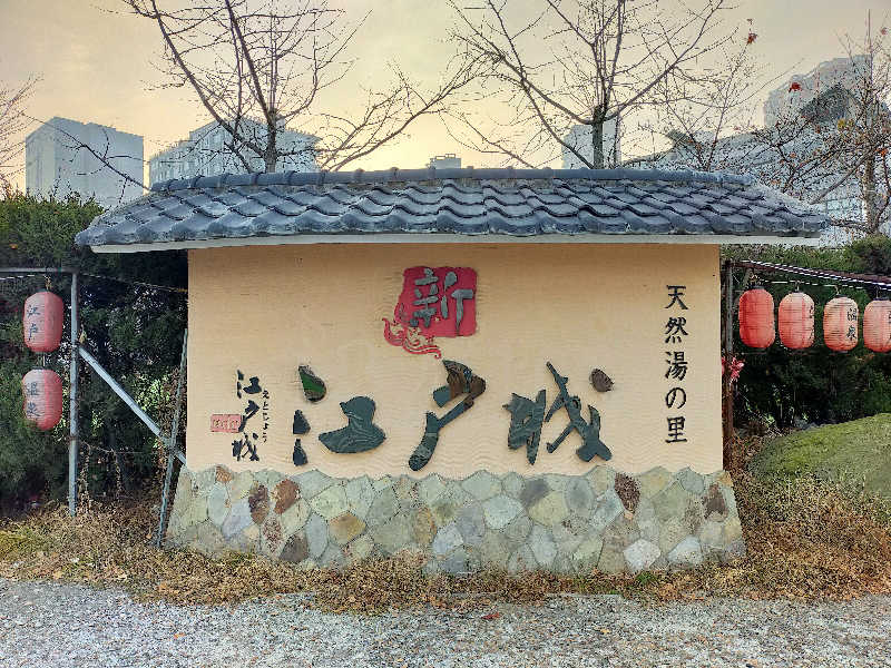蒸旅人さんの新江戸温泉城のサ活写真