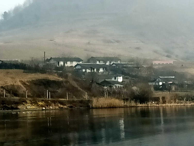 蒸旅人さんの新江戸温泉城のサ活写真