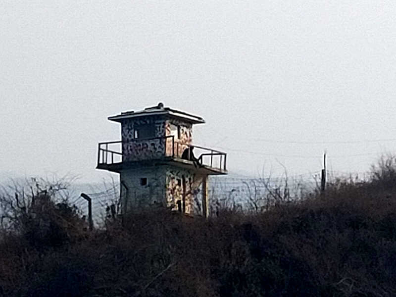 蒸旅人さんの新江戸温泉城のサ活写真