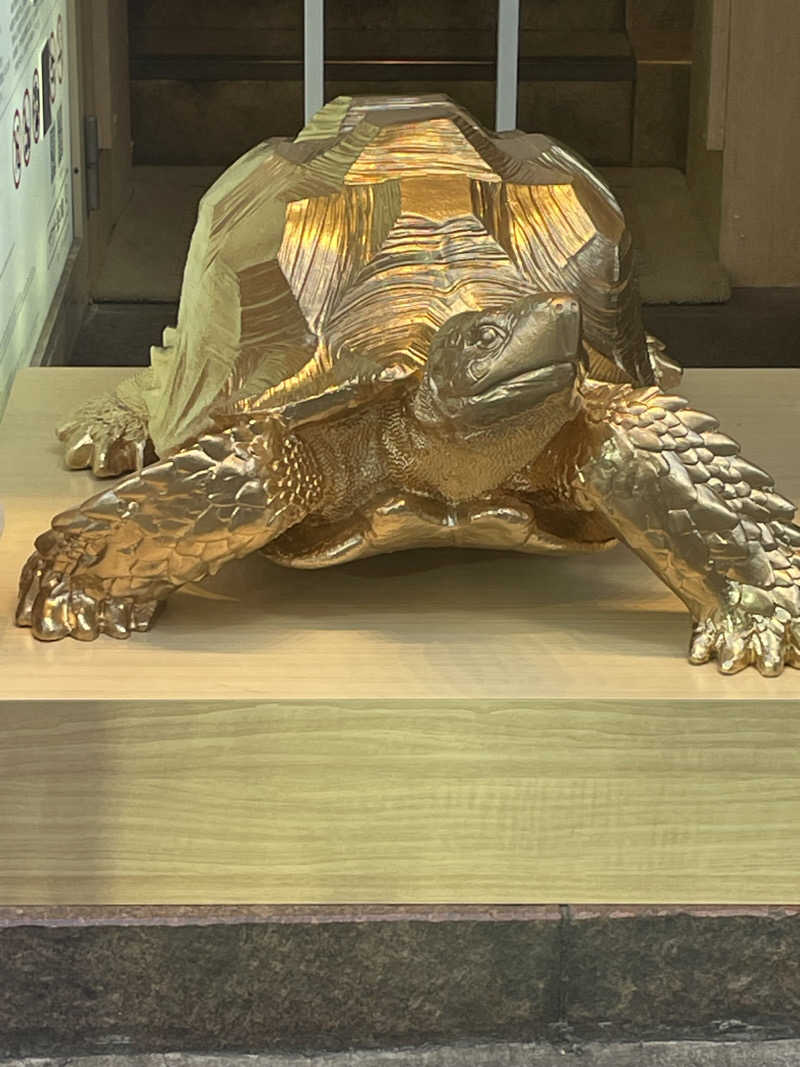 プンプンさんの生姜サウナ「金の亀」のサ活写真