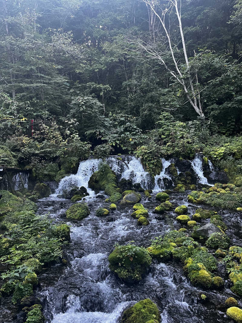 テジボーイ0821さんの京極温泉 京極ふれあい交流センターのサ活写真