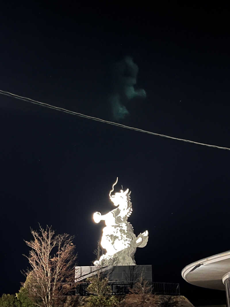 テジボーイ0821さんの長島温泉センター 椿の湯のサ活写真