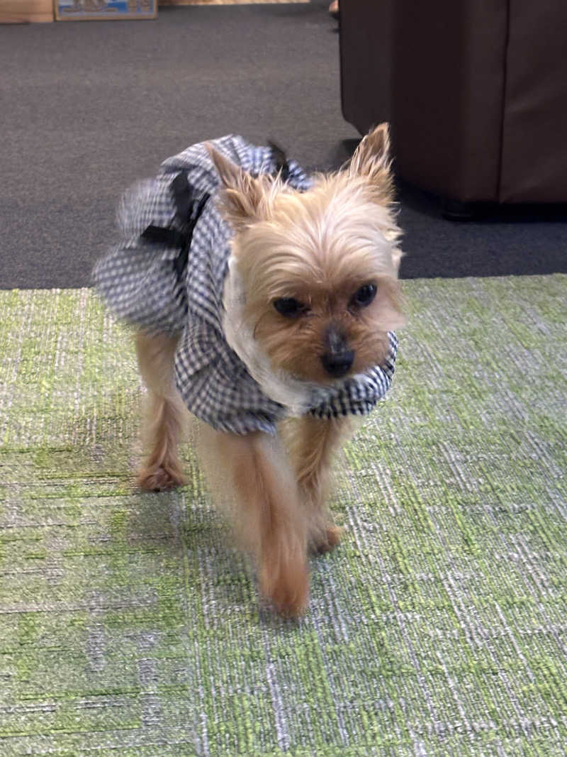 とうめさんの励明園のサ活写真