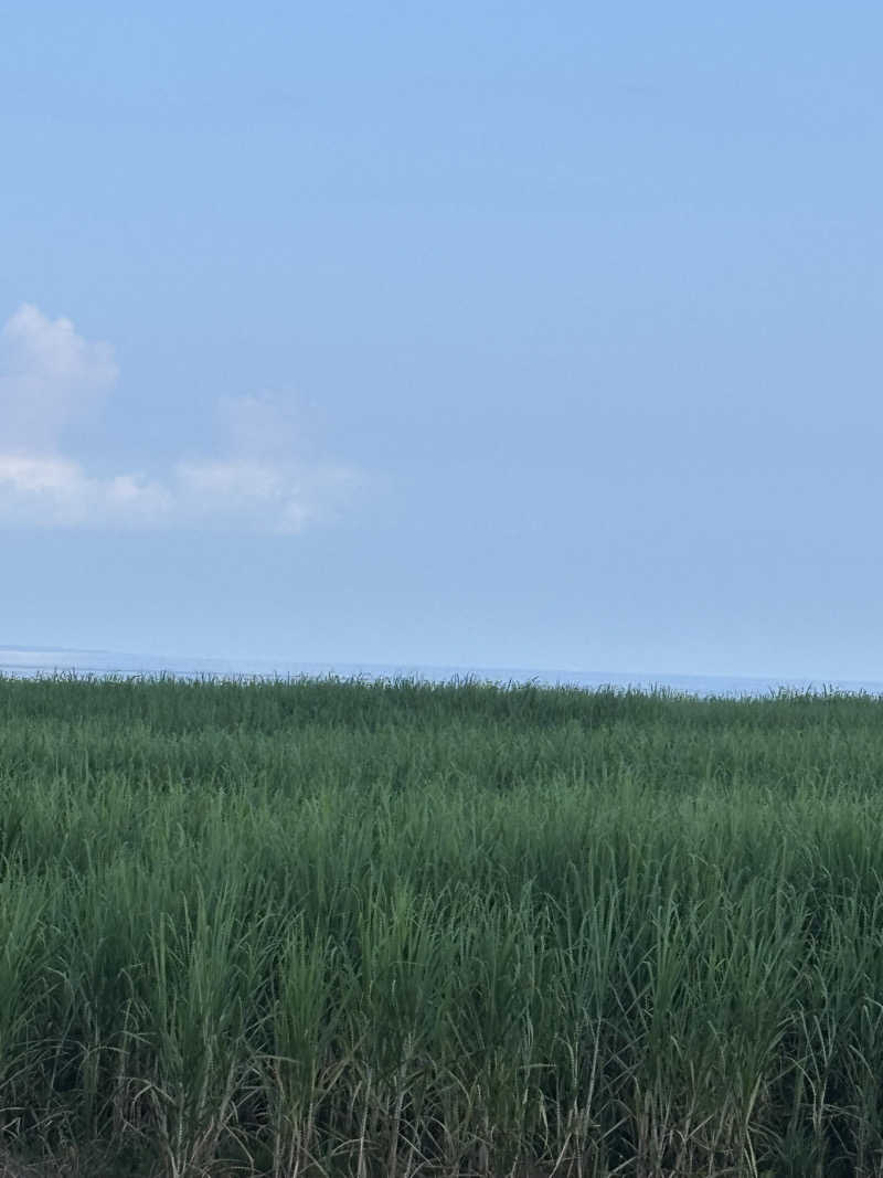 とうめさんのAMA TERRACE (アマテラス)のサ活写真