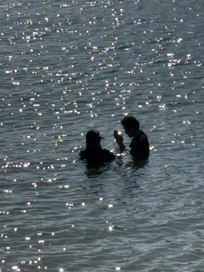 とうめさんの江戸風呂のサ活写真