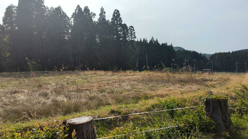 細さんのDOGA SAUNAのサ活写真