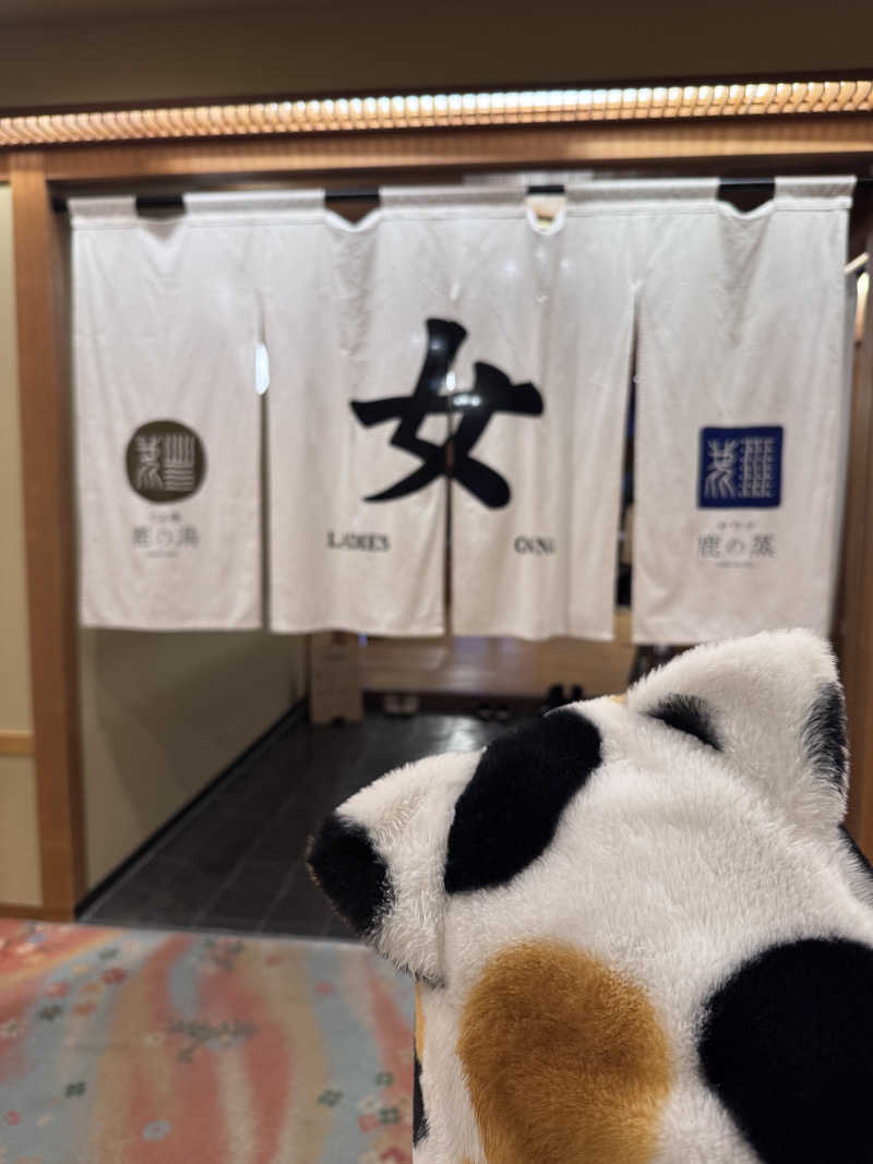 SAKURAさんの定山渓 鹿の湯のサ活写真