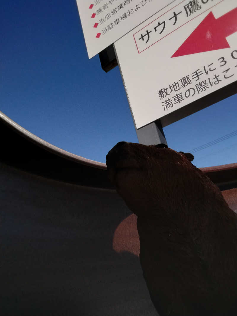 黒豆さんの富士山天然水SPA サウナ鷹の湯のサ活写真