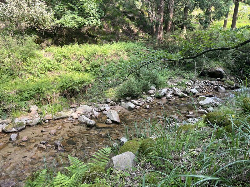 蟹ぴょんさんの蒸 -五箇サウナ-のサ活写真