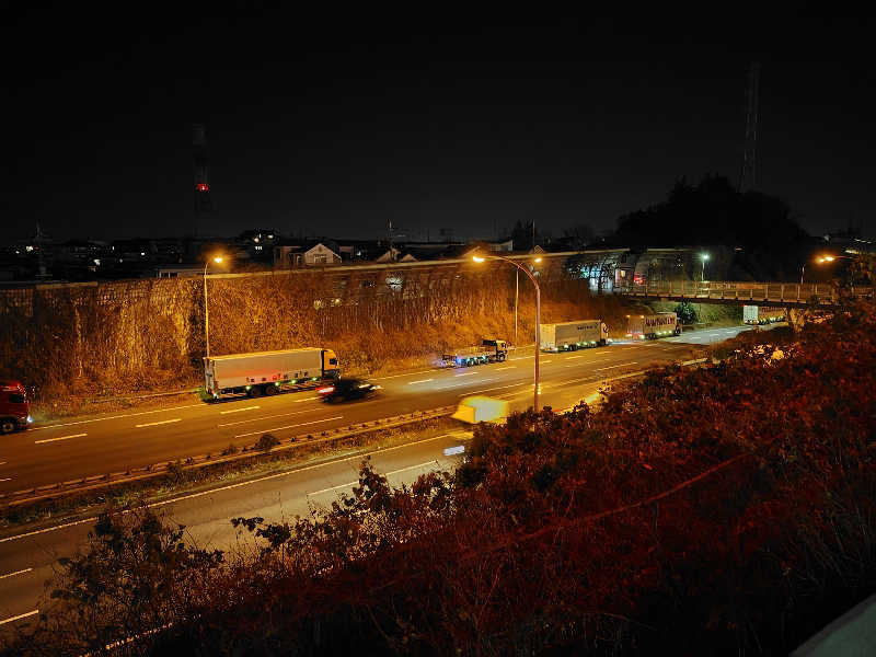 サウナカレーさんのヨコヤマユーランド緑のサ活写真