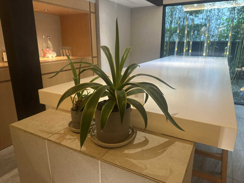 ゆでたまごさんのPrivate Sauna VAGUE (AKAMA鎌倉)のサ活写真