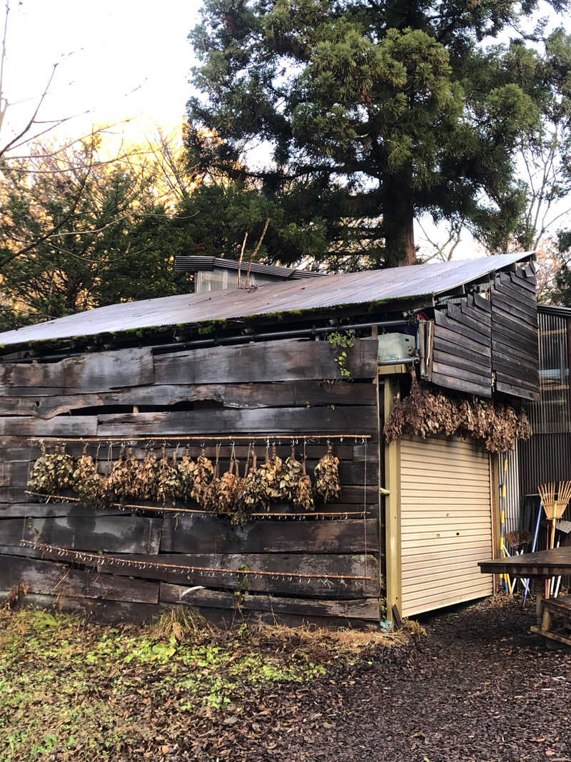 れっどあぽーさんのThe Saunaのサ活写真