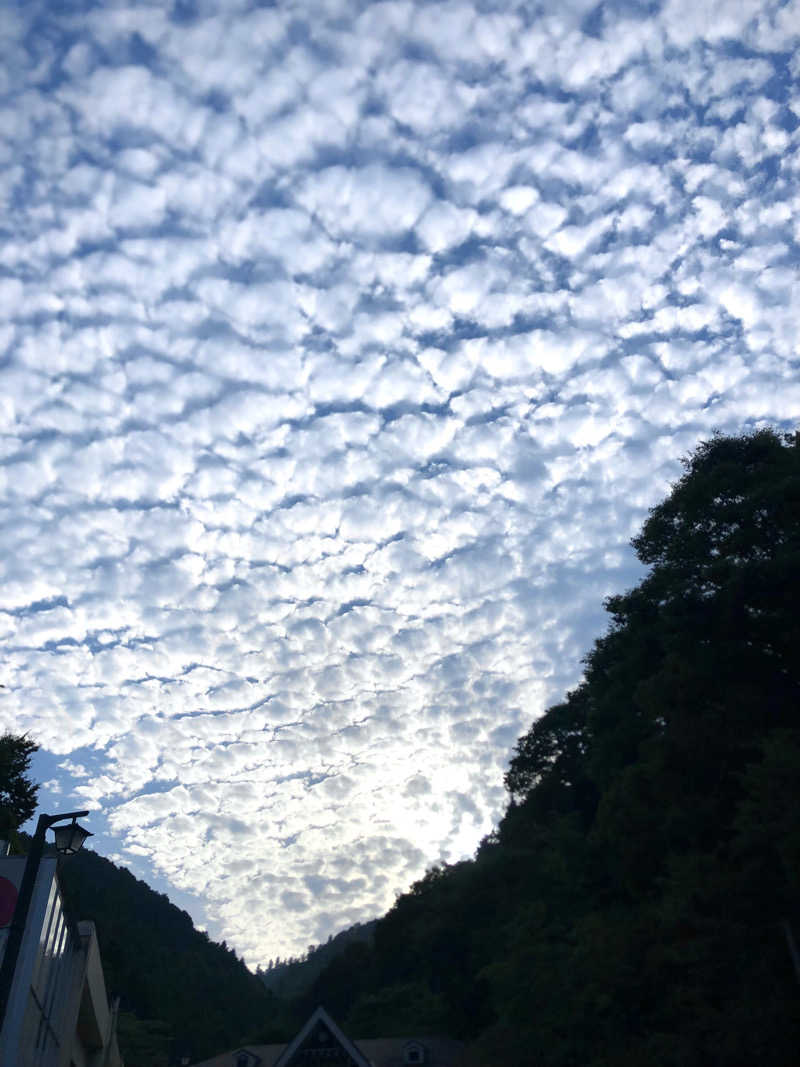 れっどあぽーさんの京王高尾山温泉 極楽湯のサ活写真