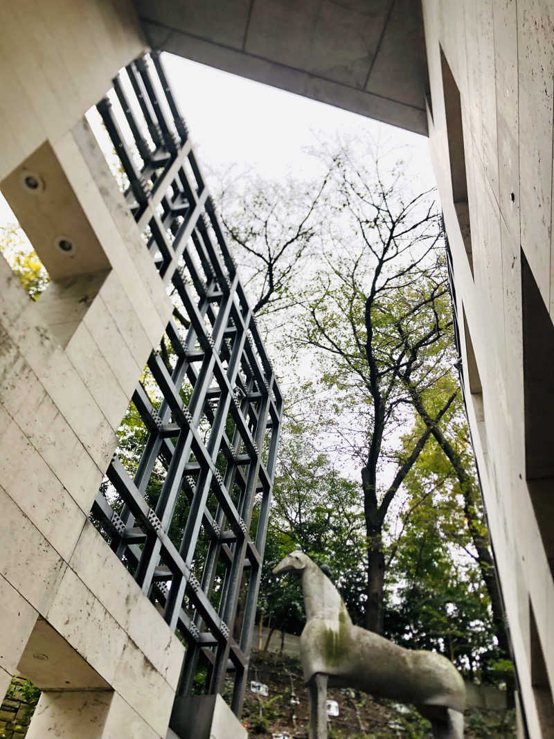 れっどあぽーさんのスゴイサウナ五反田駅前店のサ活写真