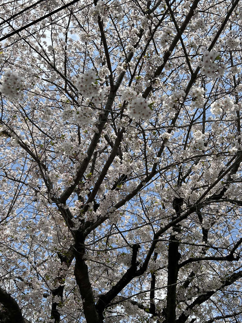 dyuiv57さんの東京染井温泉 SAKURAのサ活写真