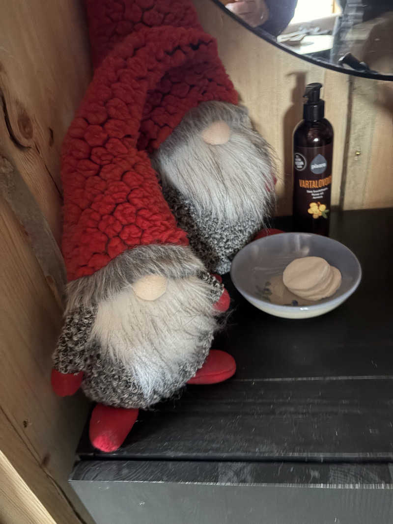 ひーろゆきさんのRukan Salonki Chaletsのサ活写真