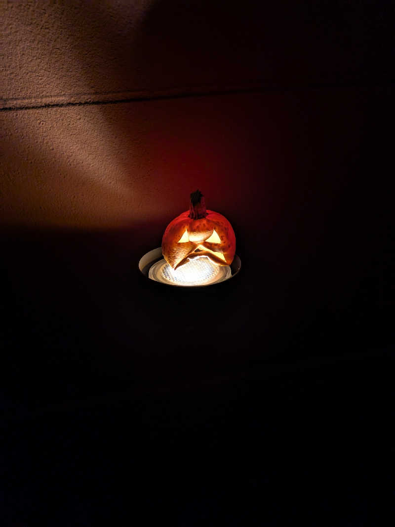 かずさんの湯処ほのかのサ活写真