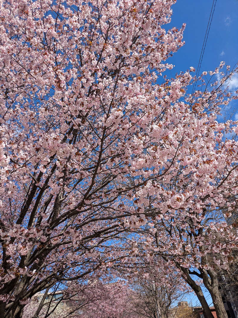 かずさんの湯の花江別殿のサ活写真