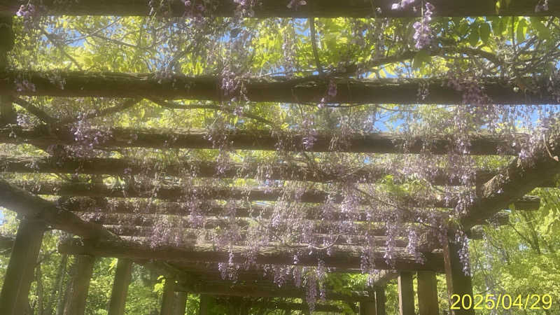 にゃんぱす〜@SB69さんの天然温泉 満月のサ活写真