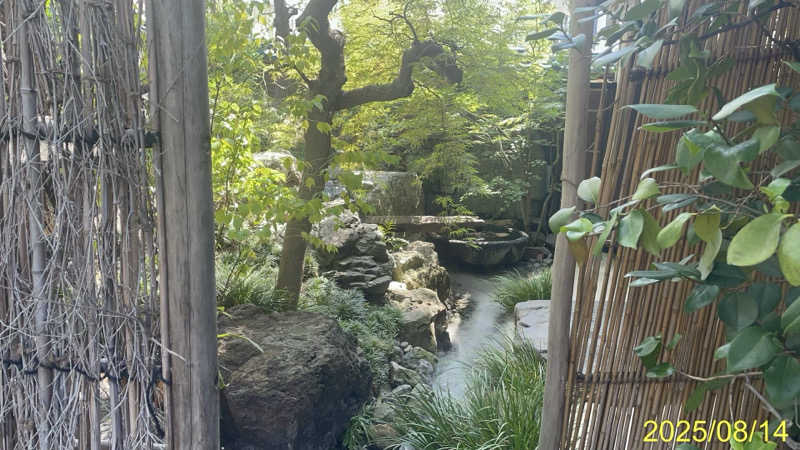 にゃんぱす〜@SB69さんのウェルビー栄のサ活写真